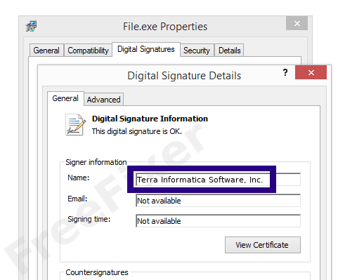 Screenshot of the Terra Informatica Software, Inc. certificate